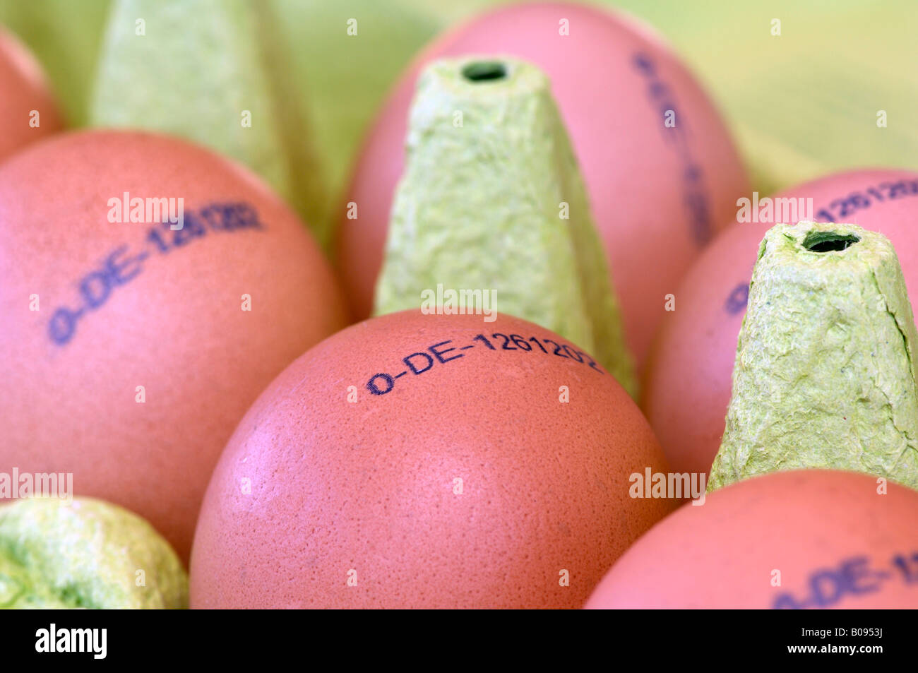 Stamped eggs, carton of eggs Stock Photo