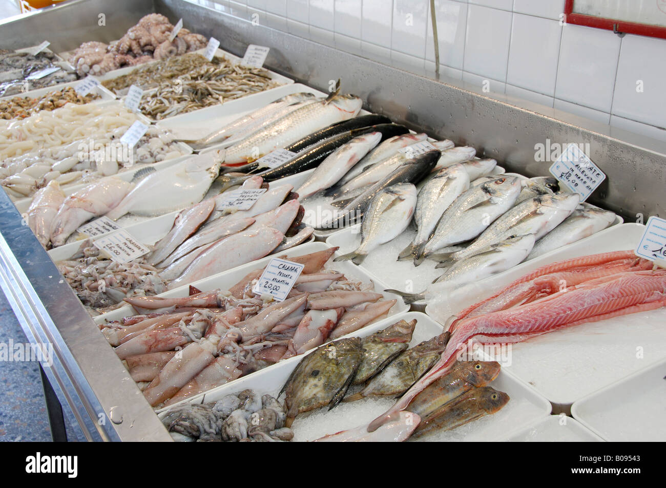 Fresh fish in a refrigerated counter, Caorle, Venezia, Veneto, Italy Stock Photo