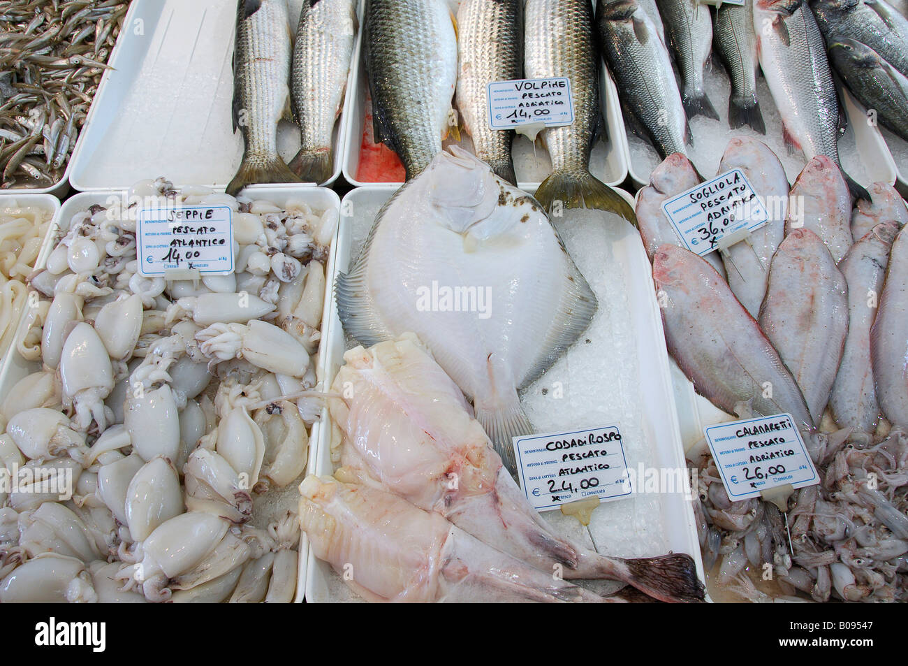 Fresh fish in a refrigerated counter, Caorle, Venezia, Veneto, Italy Stock Photo