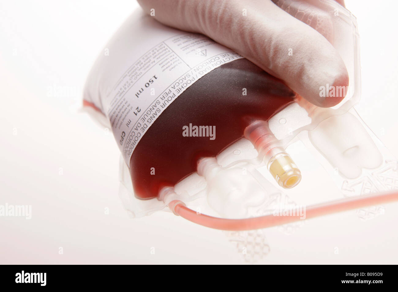 Gloved hand holding blood unit, unit of blood Stock Photo