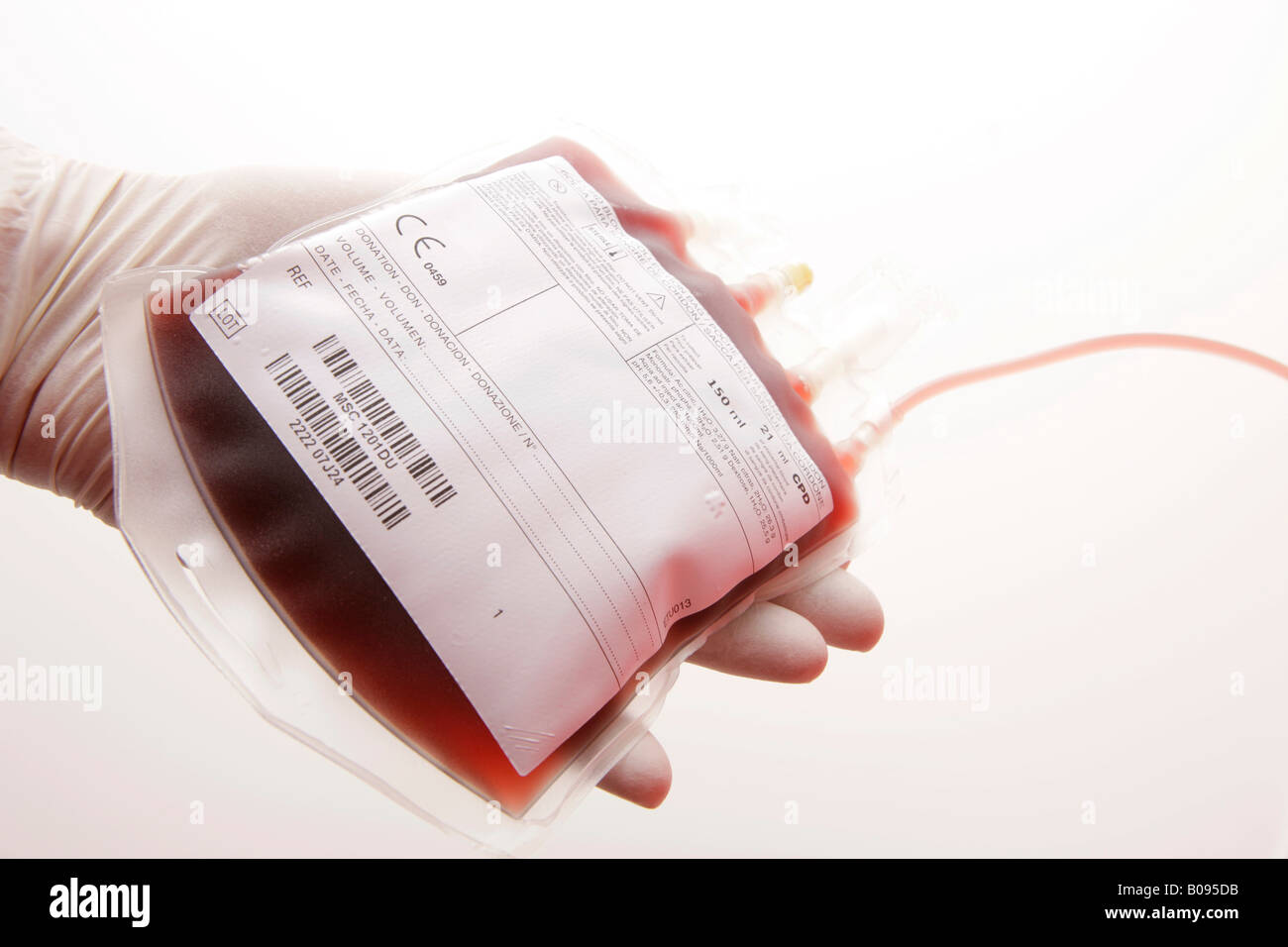 Gloved hand holding blood unit, unit of blood Stock Photo