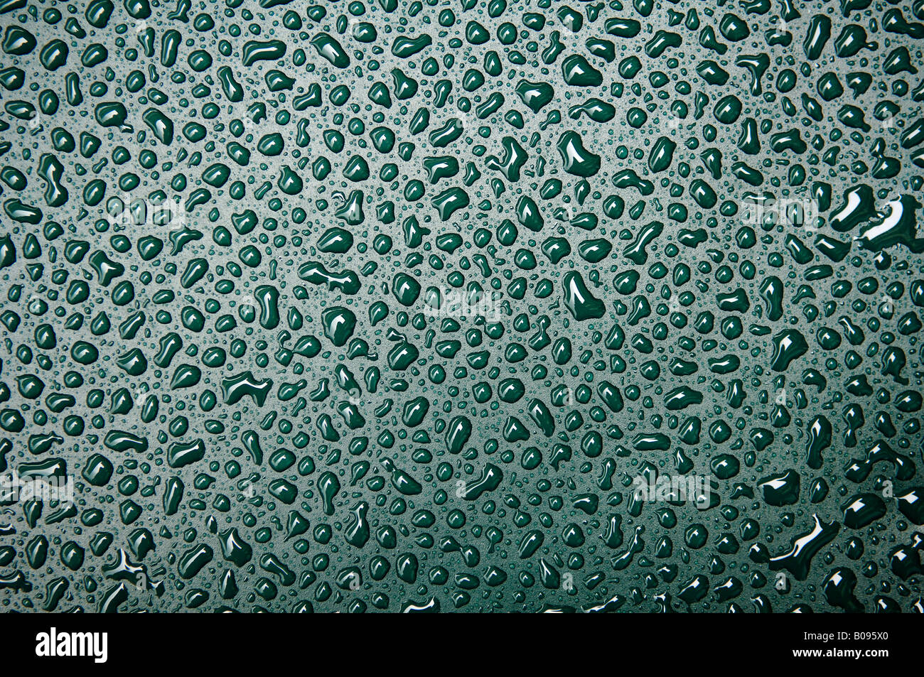 Drops of water, water droplets on green surface Stock Photo