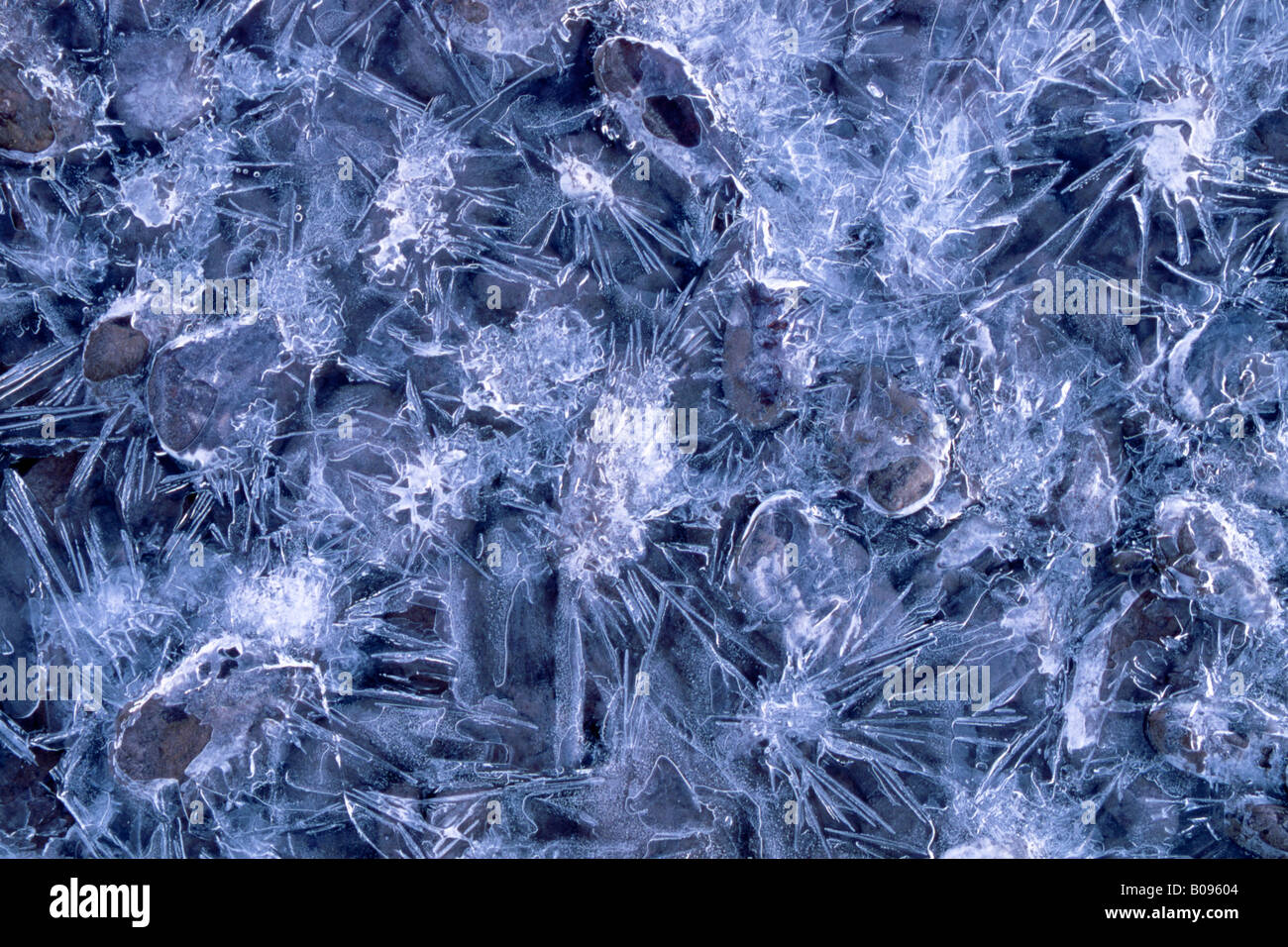 Ice crystal formations, Inn, Schwaz, Tyrol, Austria, Europe Stock Photo