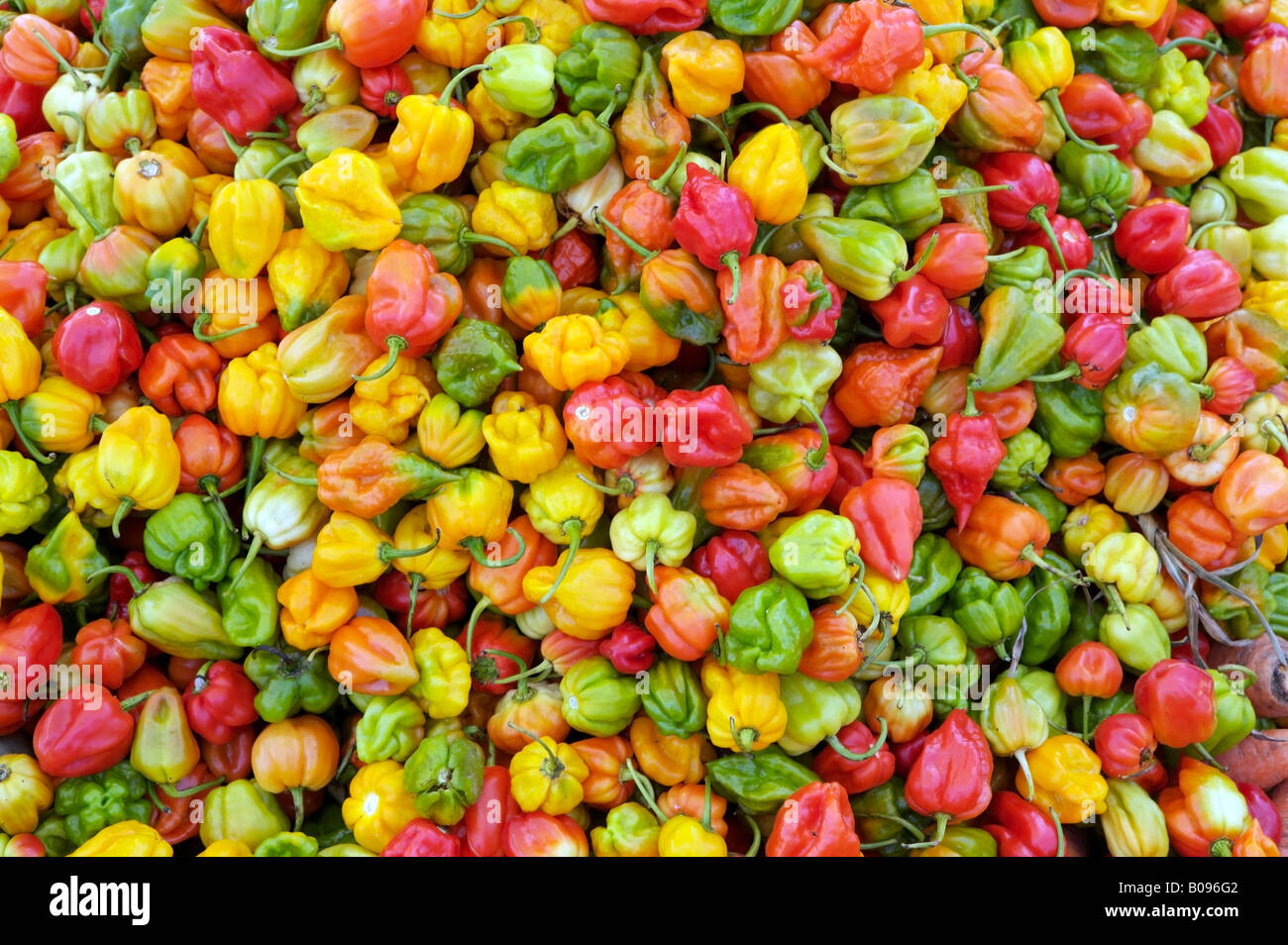 Peppers at market in San Ignacio Belize Stock Photo Alamy