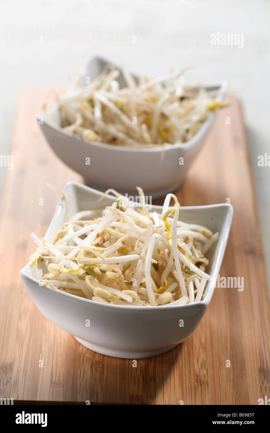 Bean sprouts, soy sprouts in two small bowls Stock Photo
