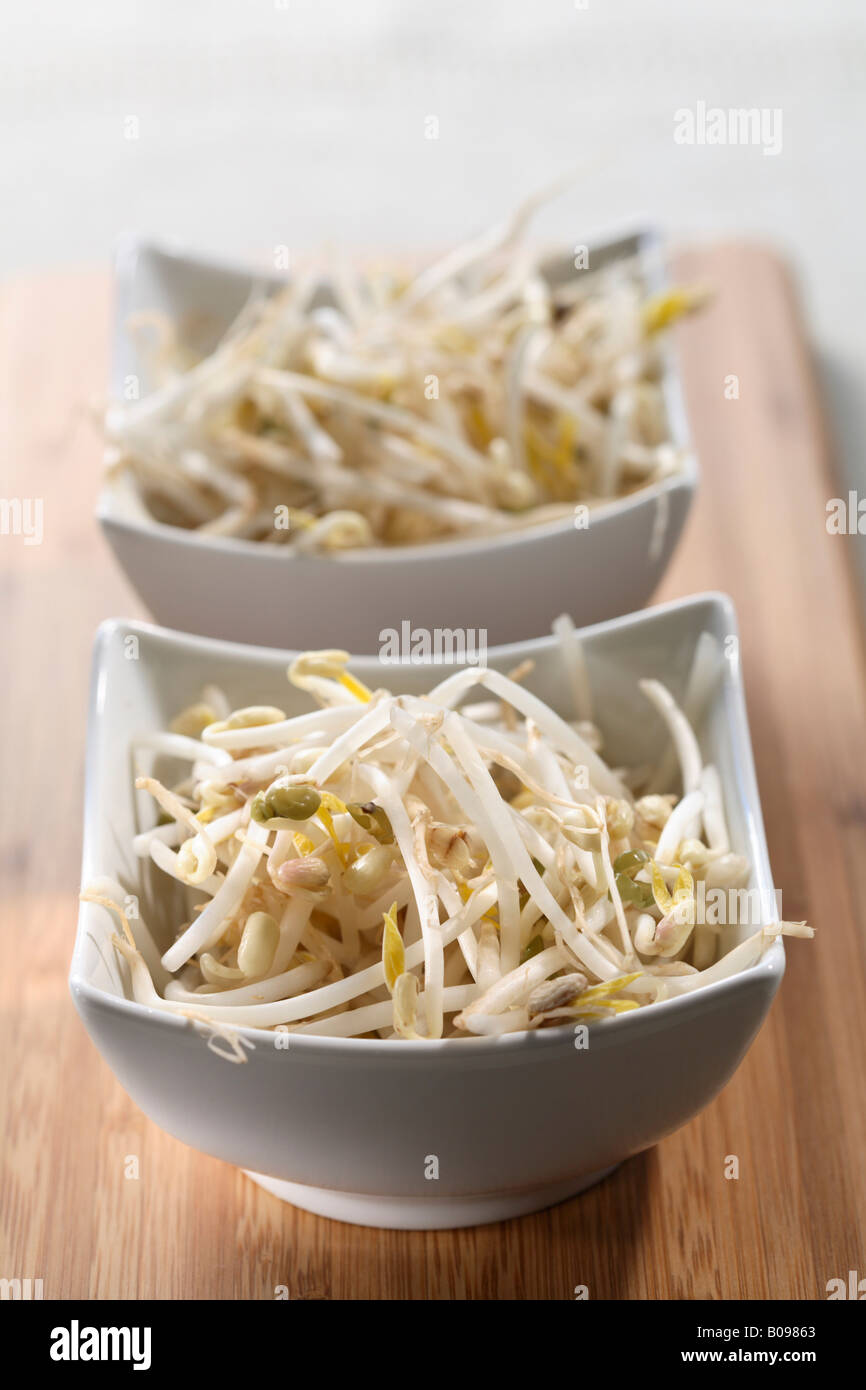 Soy sprout hires stock photography and images Alamy