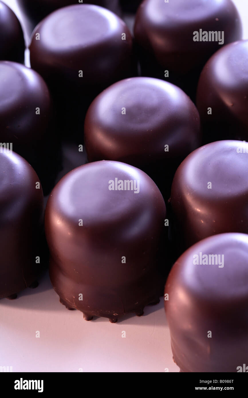 Chocolate-covered marshmallow treats Stock Photo
