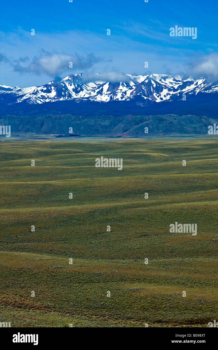 Colorado Antelope Medicine Bow Stock Photo Alamy