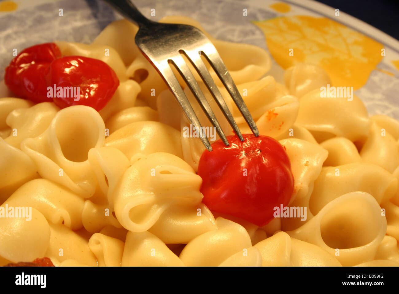 Pasta dish with fork. Stock Photo