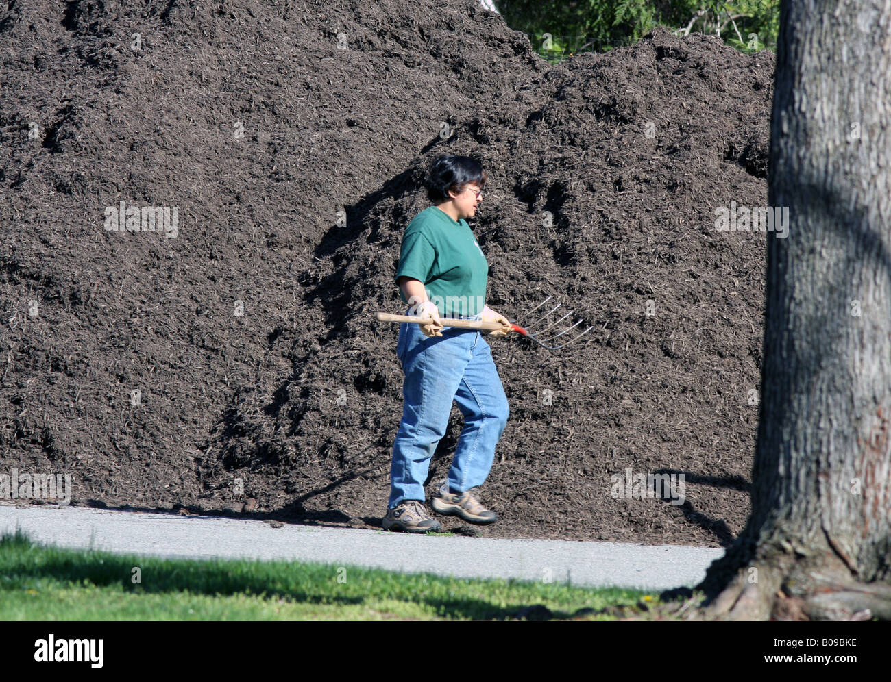 A garden worker with a pitchfork walking in front of a huge pile of mulch. Stock Photo