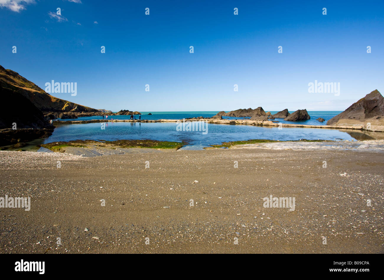 Tidal pool on the ladies beach the tunnels beaches Devon GB