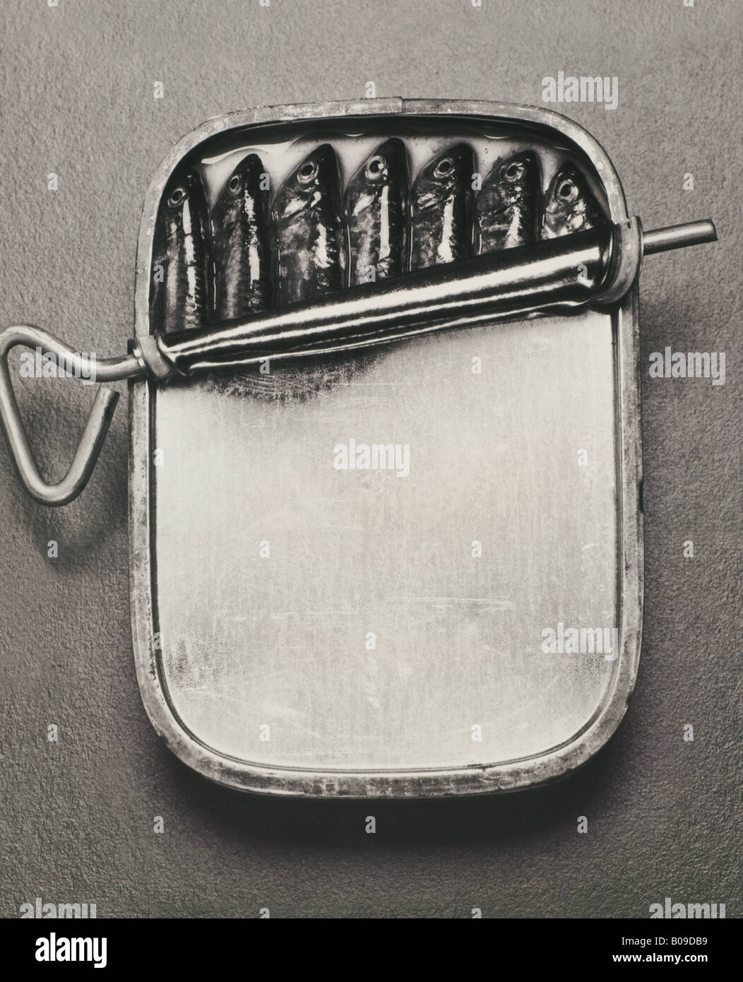 Sardine can key hires stock photography and images Alamy