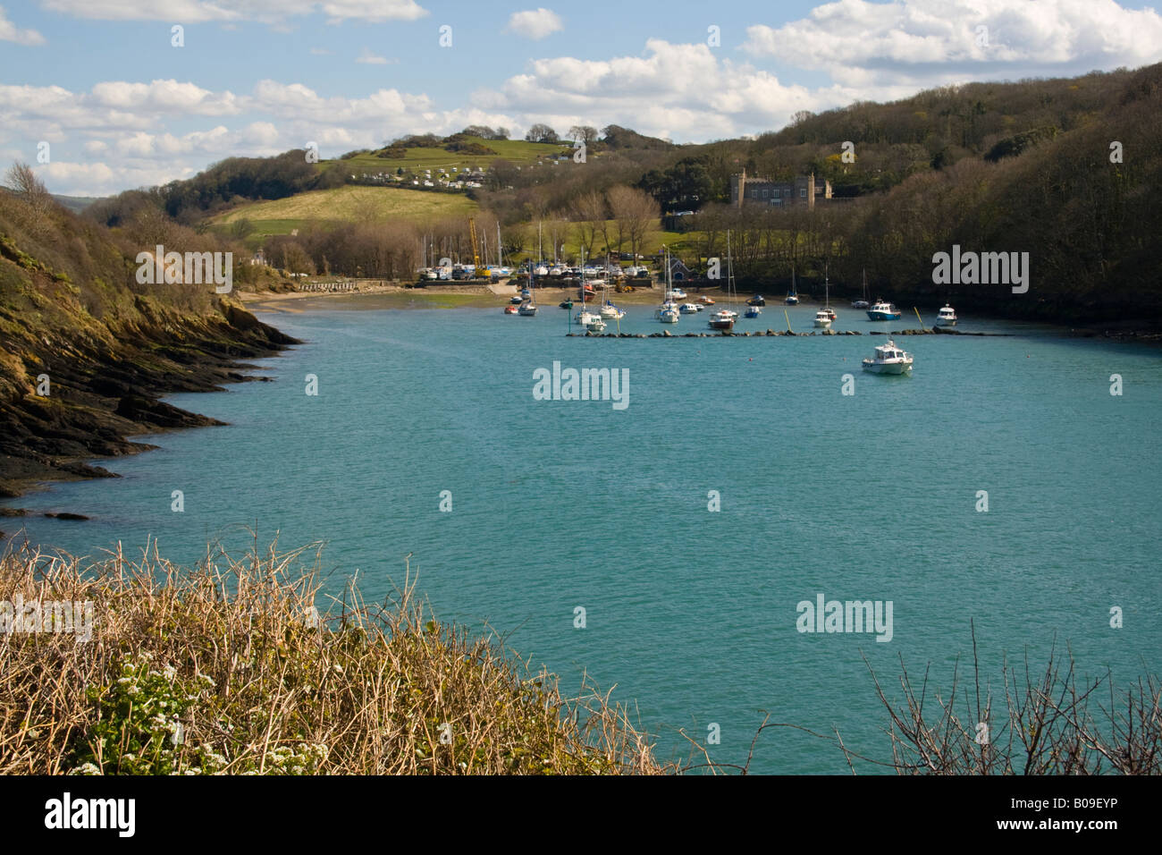 Watermouth Cove North Devon UK Stock Photo Alamy