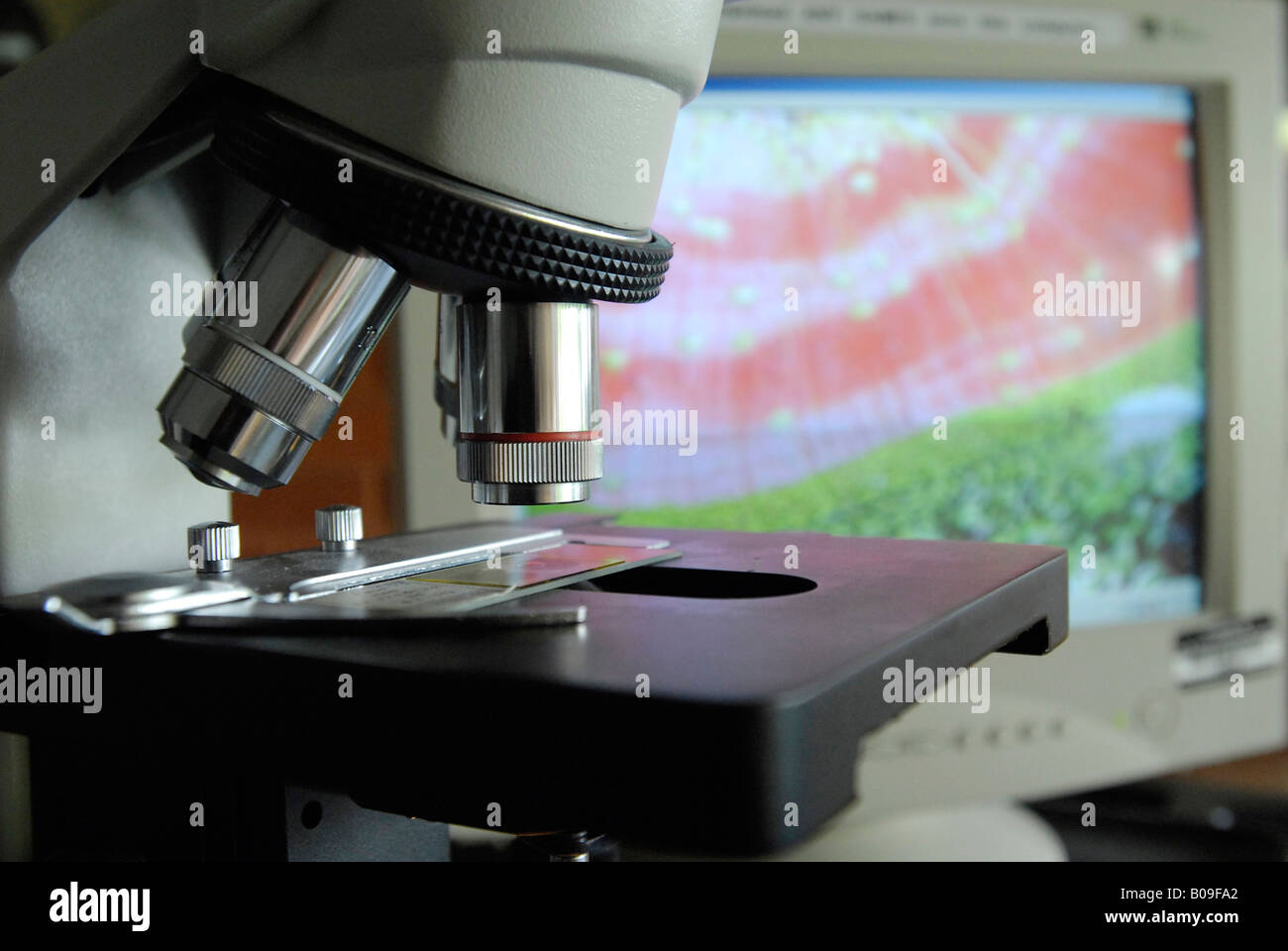 Close-up of scientific scanning microscope with image on computer ...
