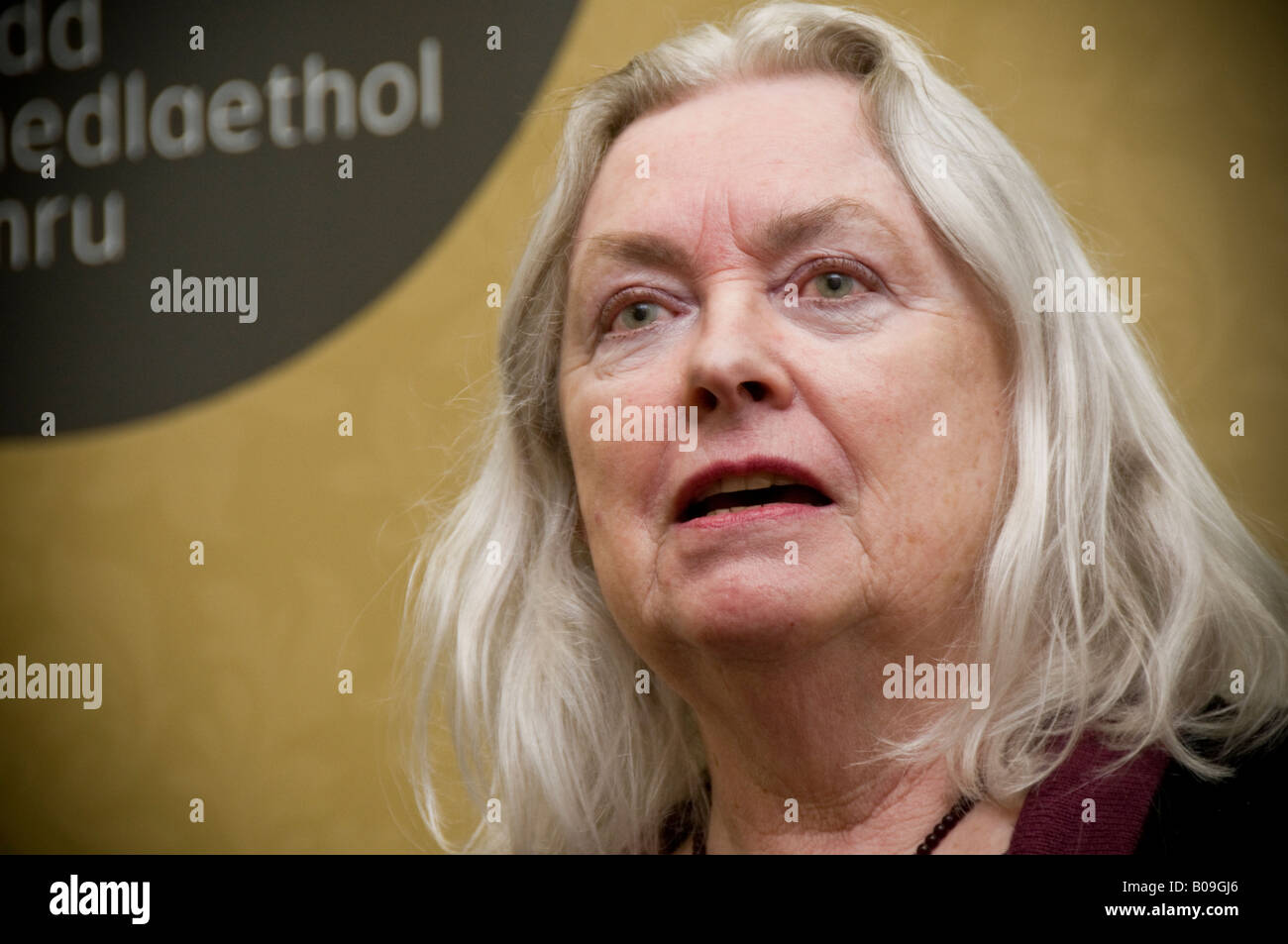 GILLIAN CLARKE the third National Poet of Wales Stock Photo