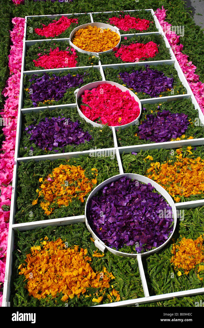 Making flower carpets using moulds Azores islands Portugal Stock Photo
