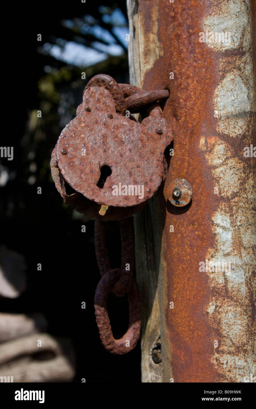 Lock Rusted Dark Shed Rusty lock on corrugated iron shed Stock Photo - Alamy