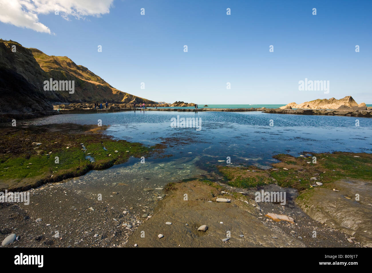 Tidal pool on the ladies beach the tunnels beaches Devon GB