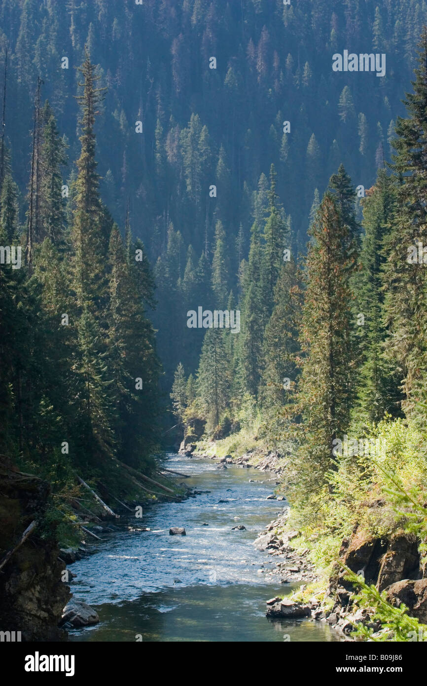 St Joe River, Idaho Stock Photo - Alamy