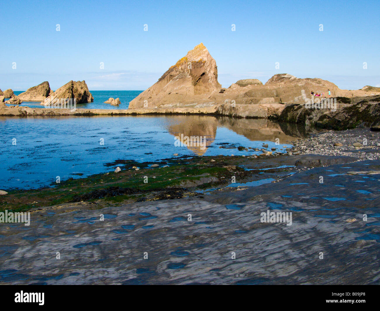 Tidal pool on the ladies beach the tunnels beaches Devon GB