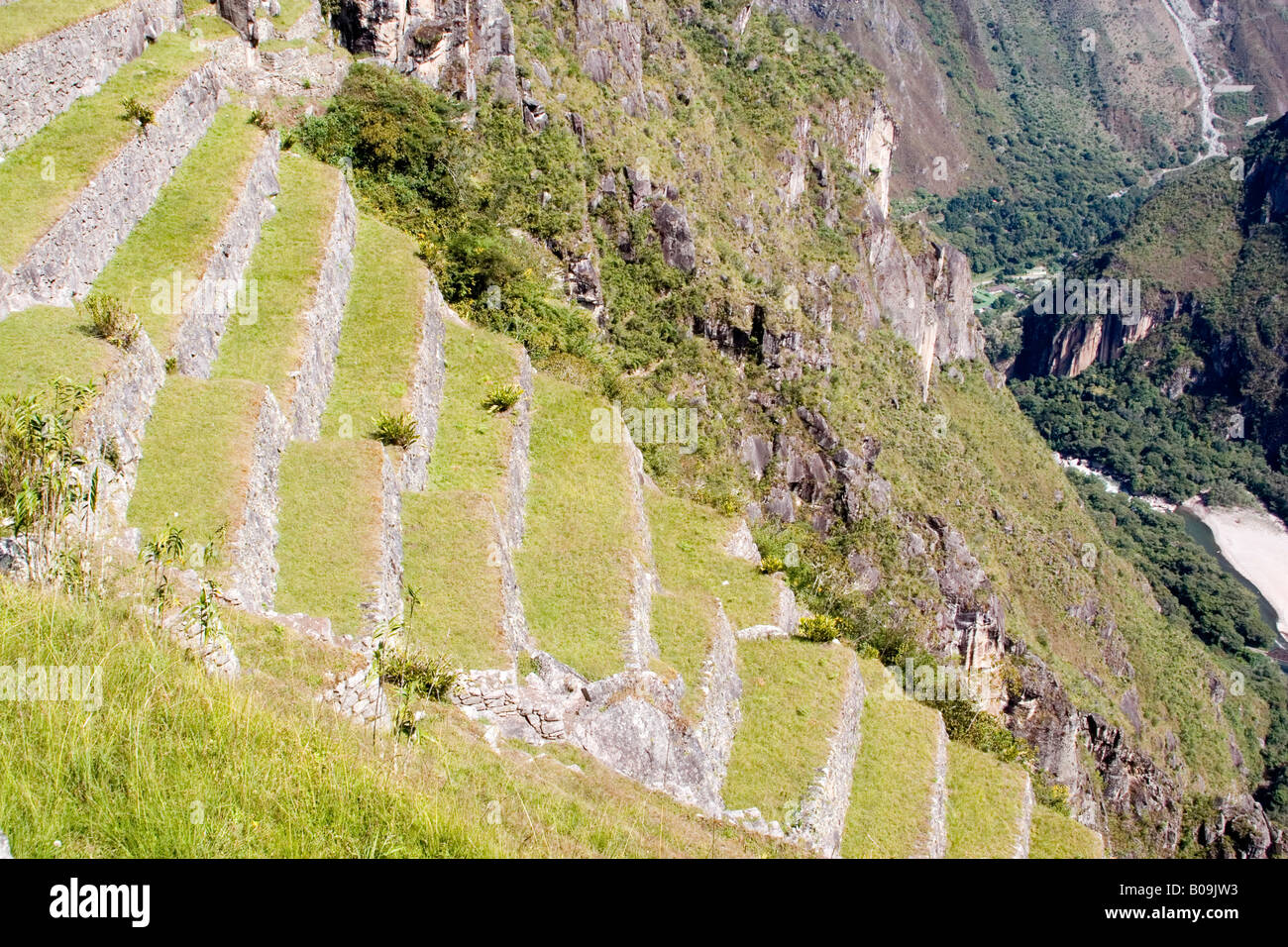 South America - Peru. Terracing in the lost Inca city of Machu Picchu ...