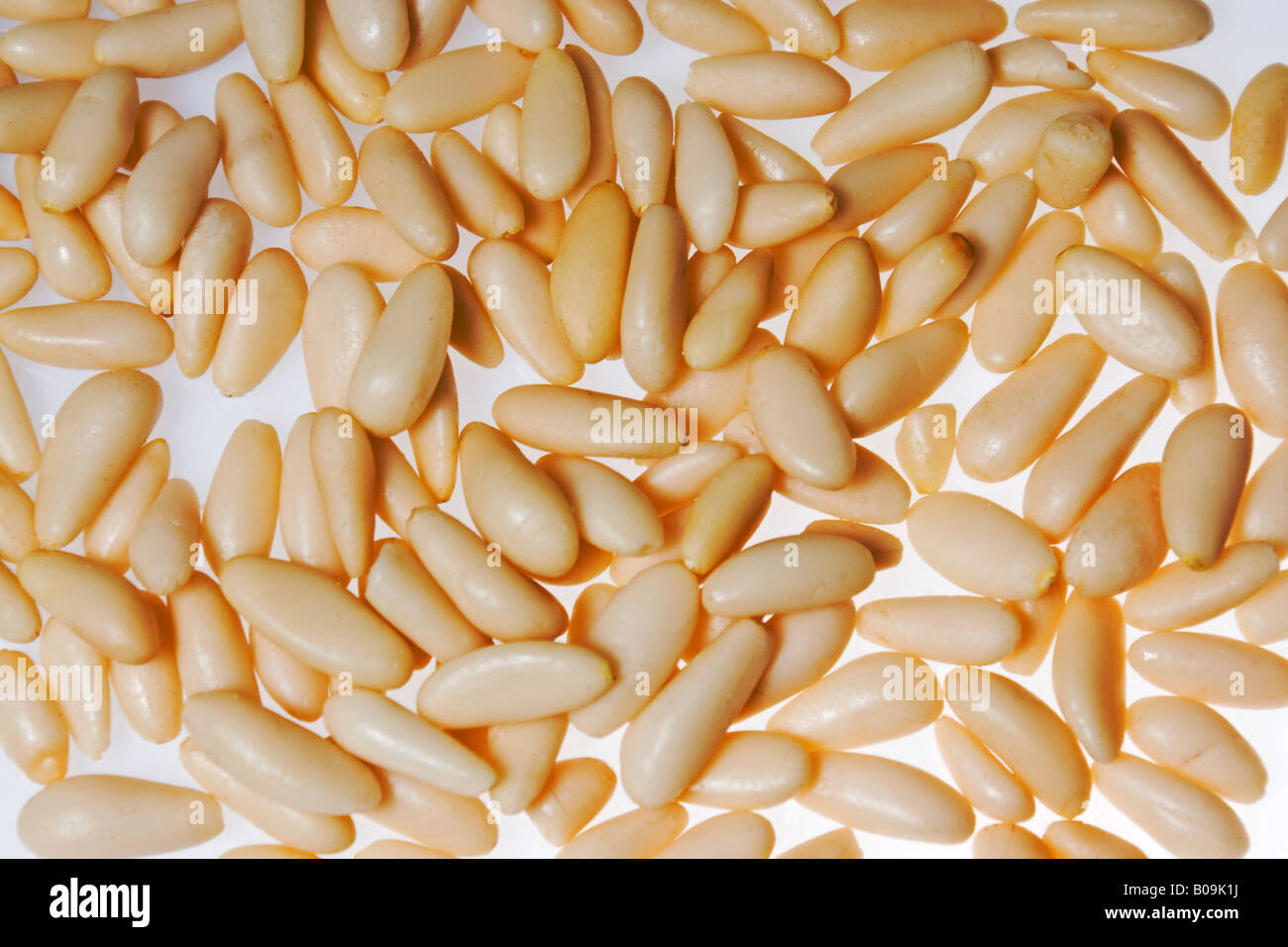 Kernel seed hi-res stock photography and images - Alamy