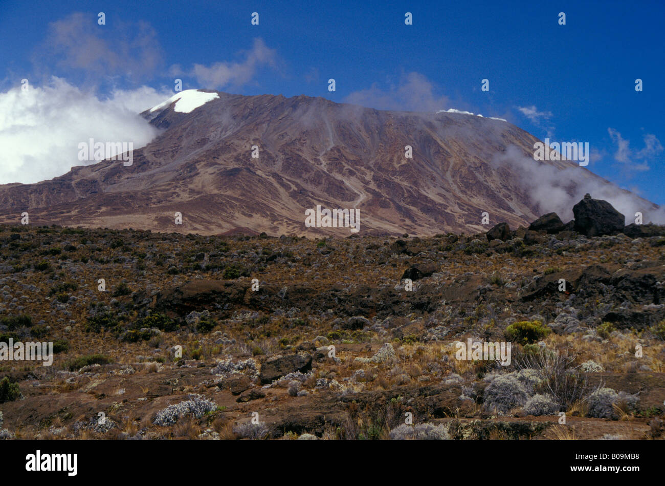 Mount Kilimanjaro, Tanzania Stock Photo Alamy