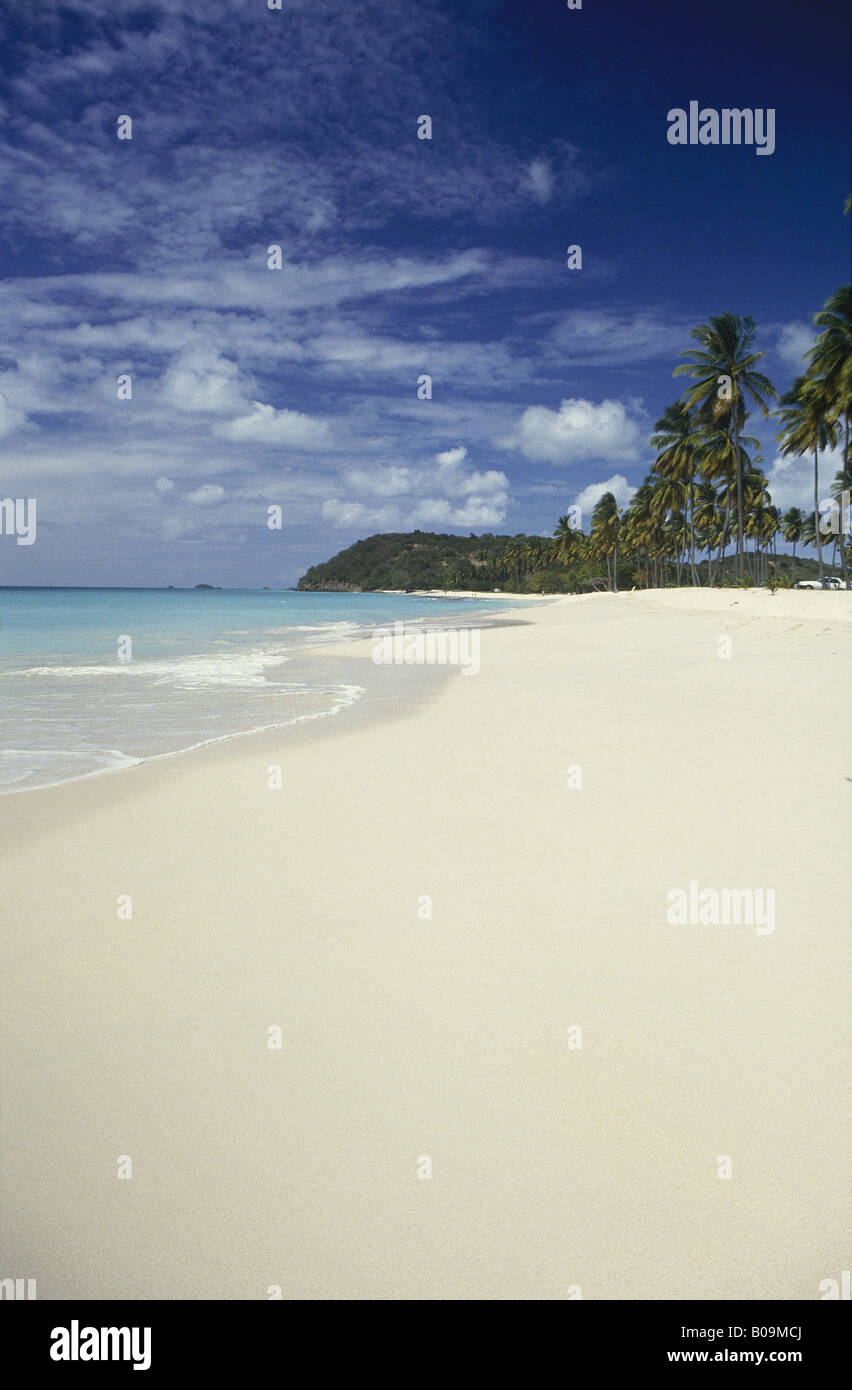 White sand beach Sea with fringe of palm trees Headland in distance DARKWOOD BEACH ANTIGUA Stock Photo