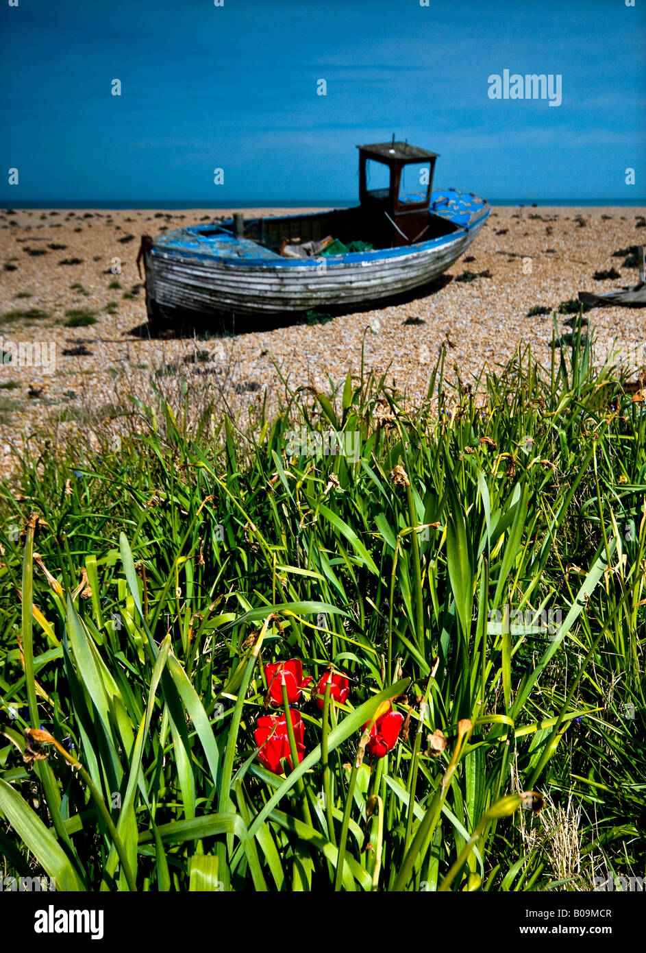 An abandoned old wooden fishing boat at Dungeness Kent Stock Photo - Alamy