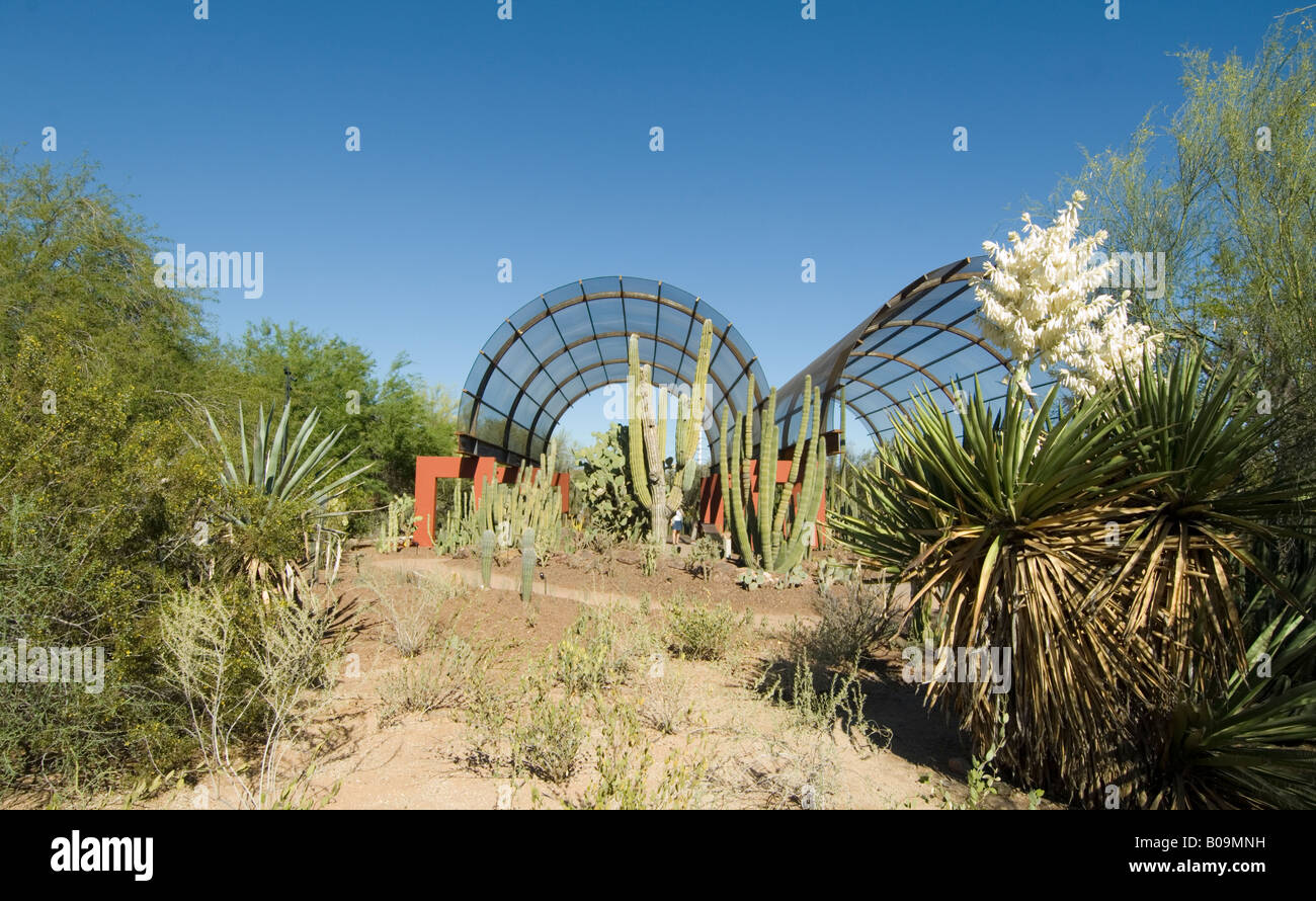 Phoenix Botanical Garden Arizona USA Stock Photo Alamy