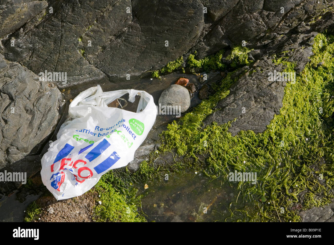 A plastic Tesco supermarket shopping bag discarded in the sea off Oban