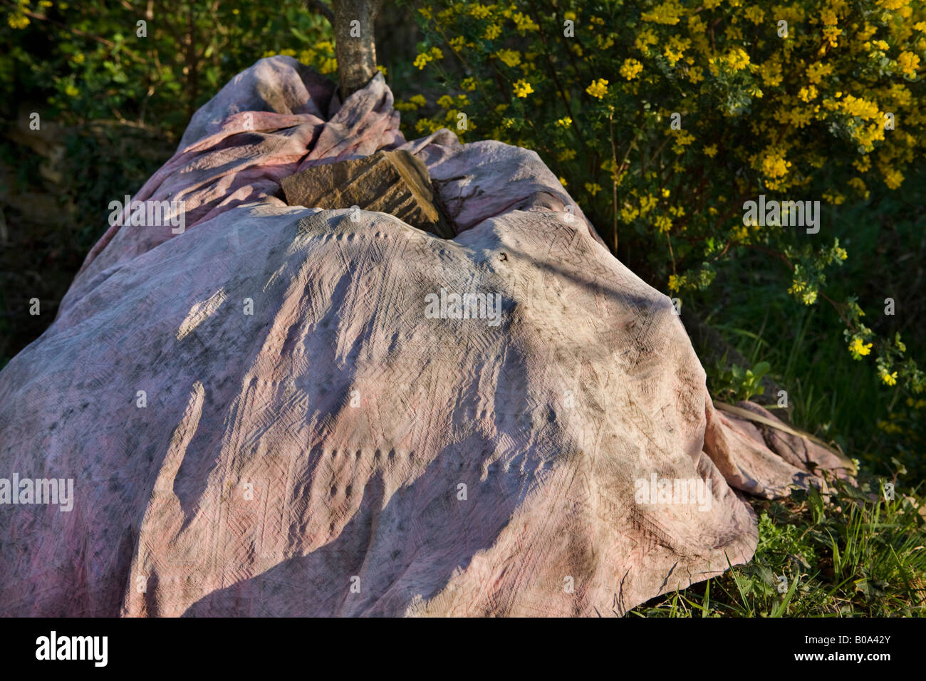 Covered compost pile in French small holding in the Languedoc Roussillon region of France Stock Photo