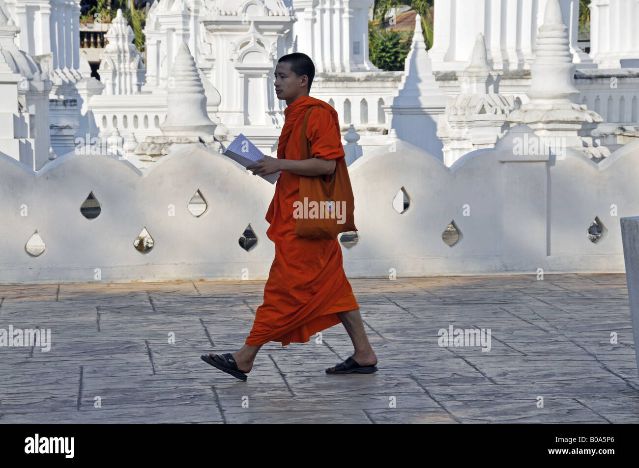 monk at Wat Suan Dok Temple, Thailand, Chiang Mai Stock Photo