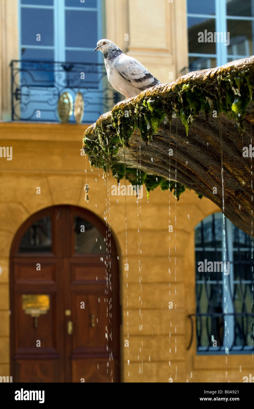 Fountain albertas aix hi-res stock photography and images - Alamy