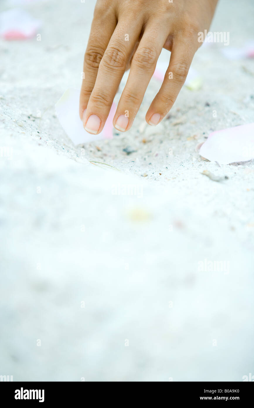Hand picking up flower petal on sand, surface level view Stock Photo