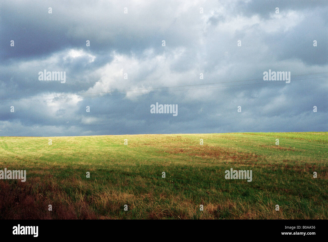 Grassy landscape with storm clouds, power lines in distance Stock Photo