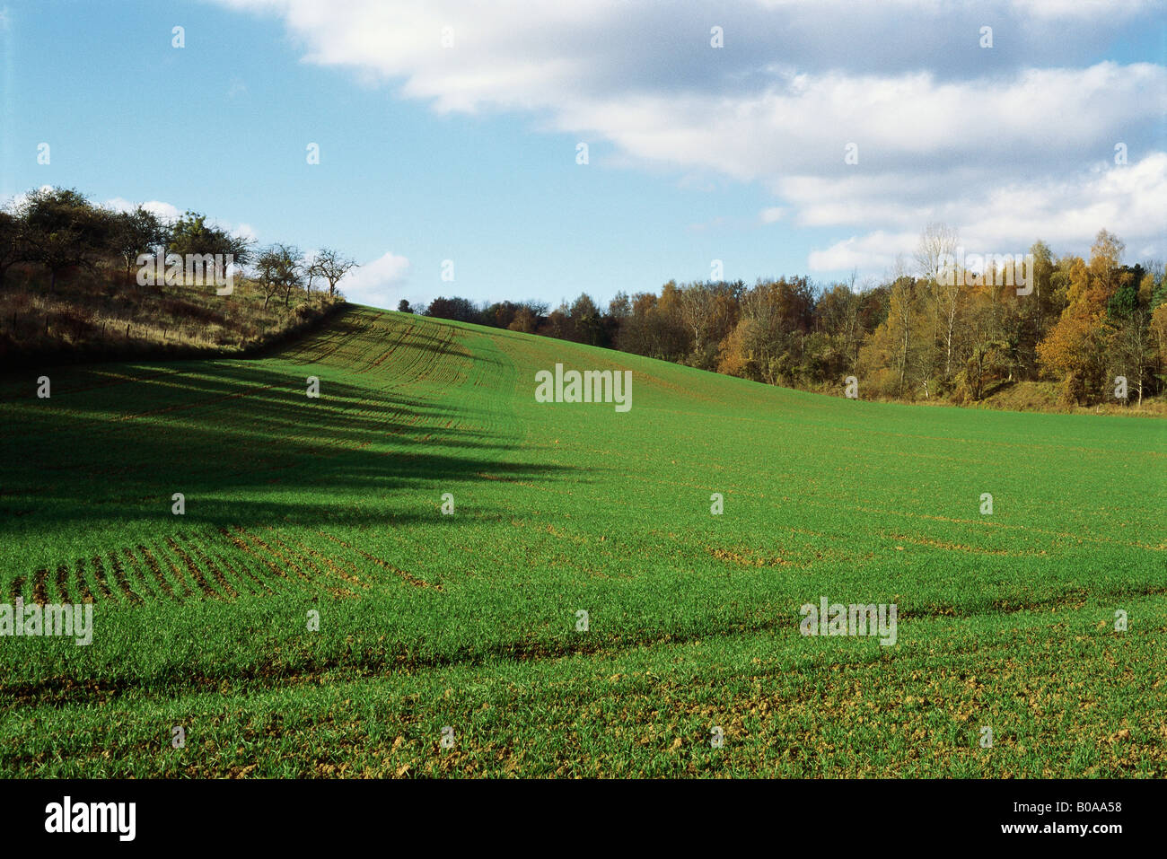 Countryside with cultivated field Stock Photo