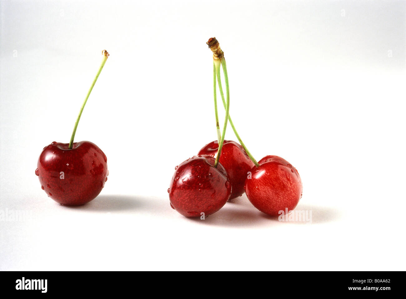 Cherries with water droplets, close-up Stock Photo
