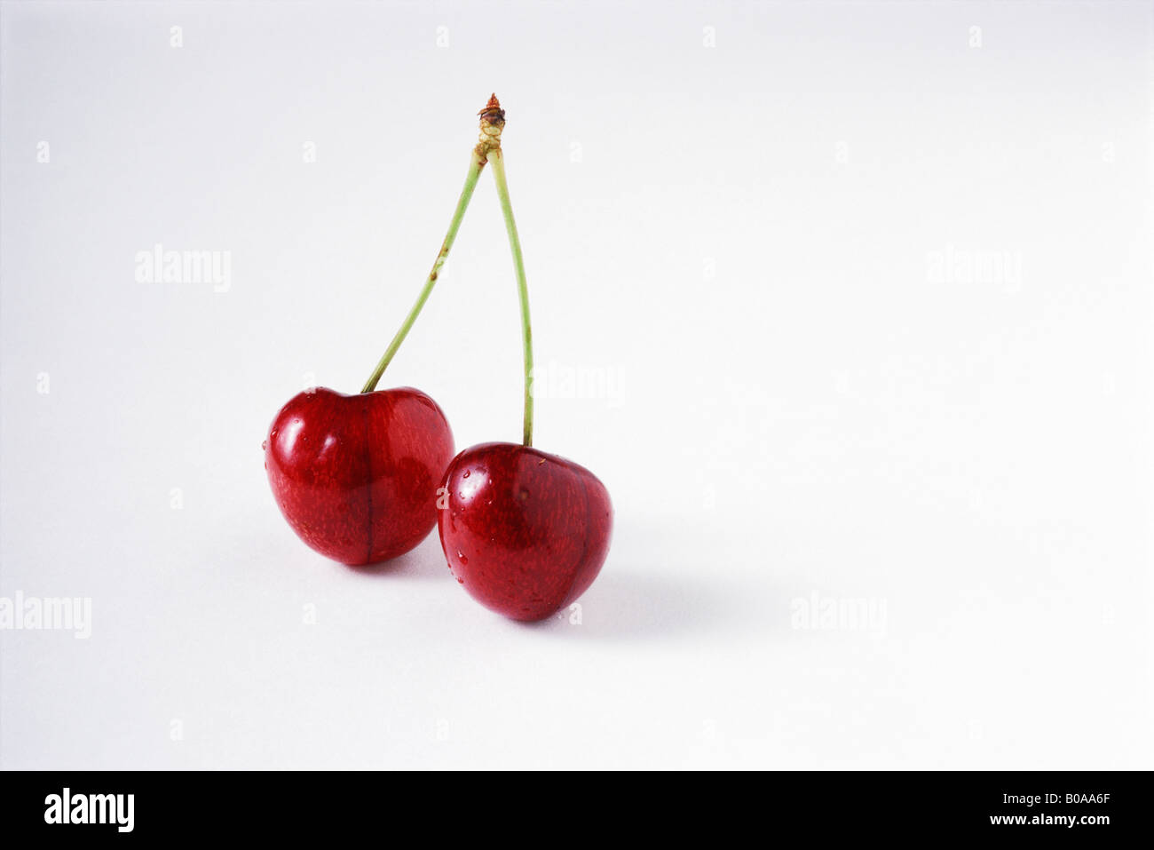 Two cherries on joined stems, close-up Stock Photo
