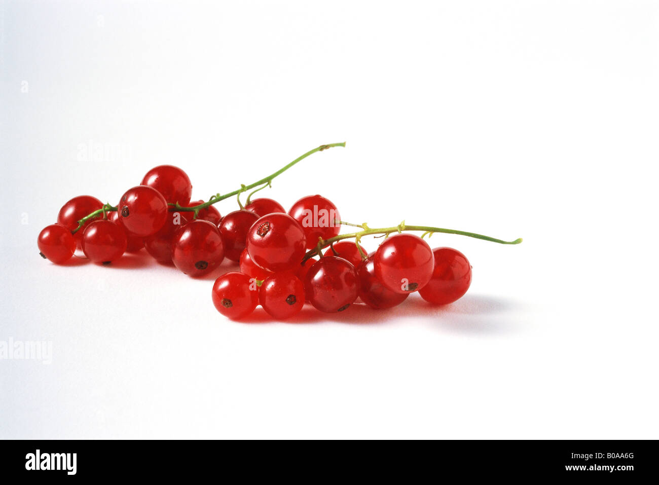 Red currants, close-up Stock Photo