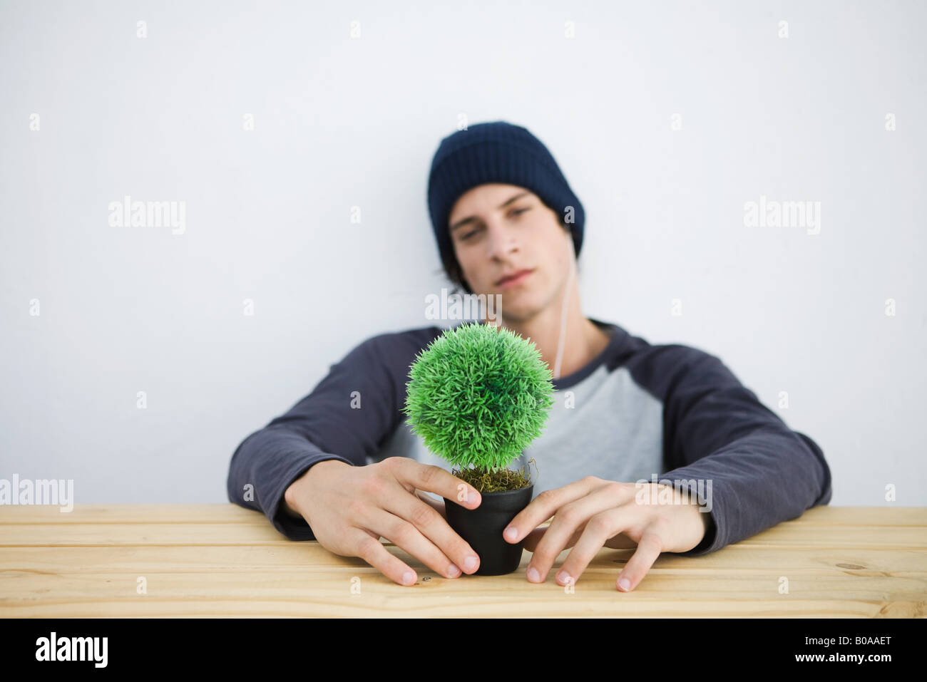 Young man sitting at table, holding bonsai, looking at camera Stock Photo