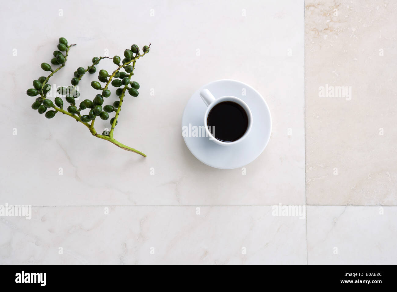 Coffee cup and olive branch, high angle view Stock Photo Alamy