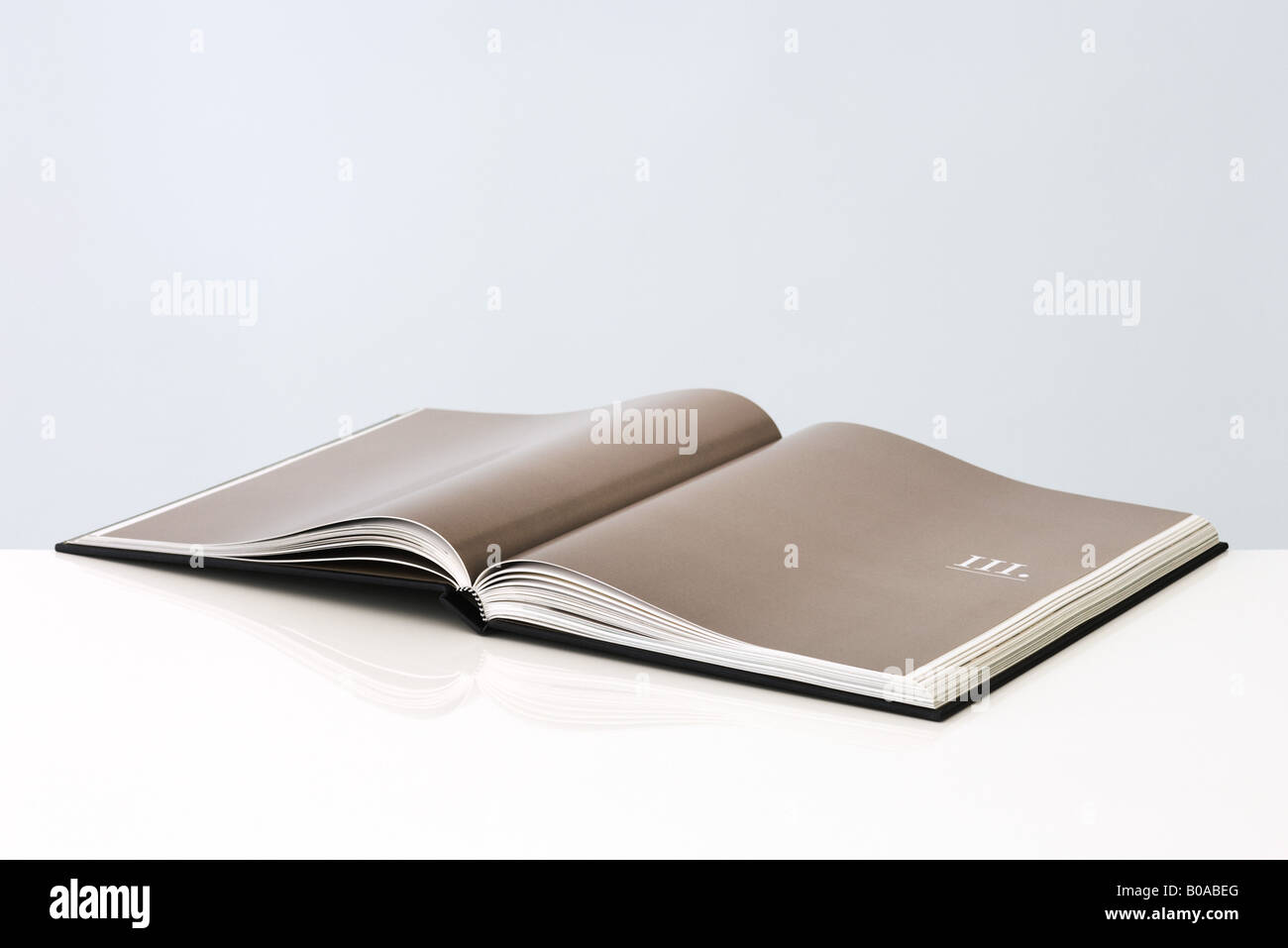 2,302 Blank Hardcover Book Stock Photos, High-Res Pictures, and