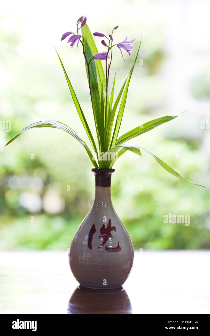 Purple flowers in vase Stock Photo Alamy