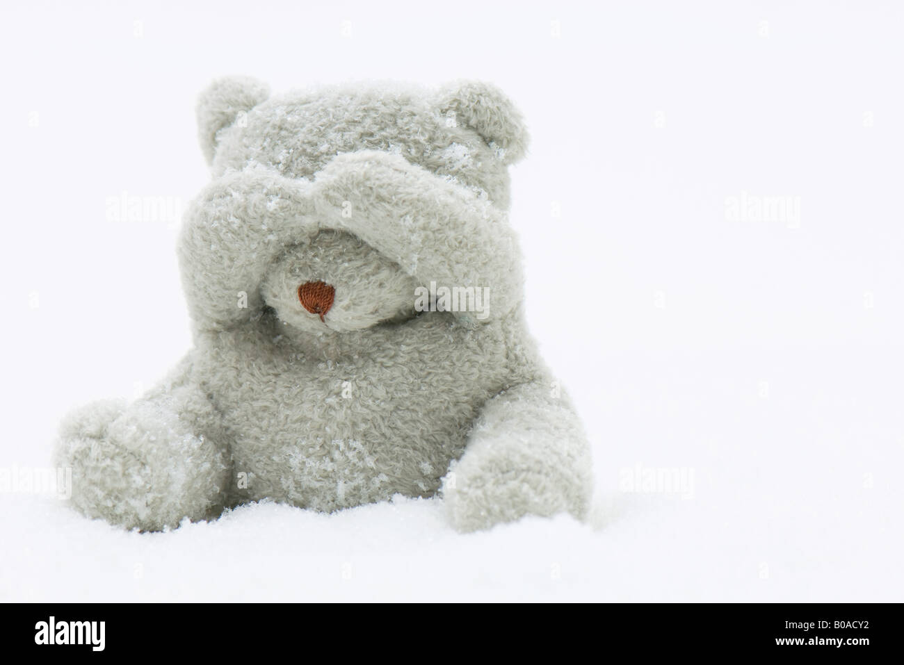 Teddy bear sitting in snow, covering its eyes with its hands Stock Photo