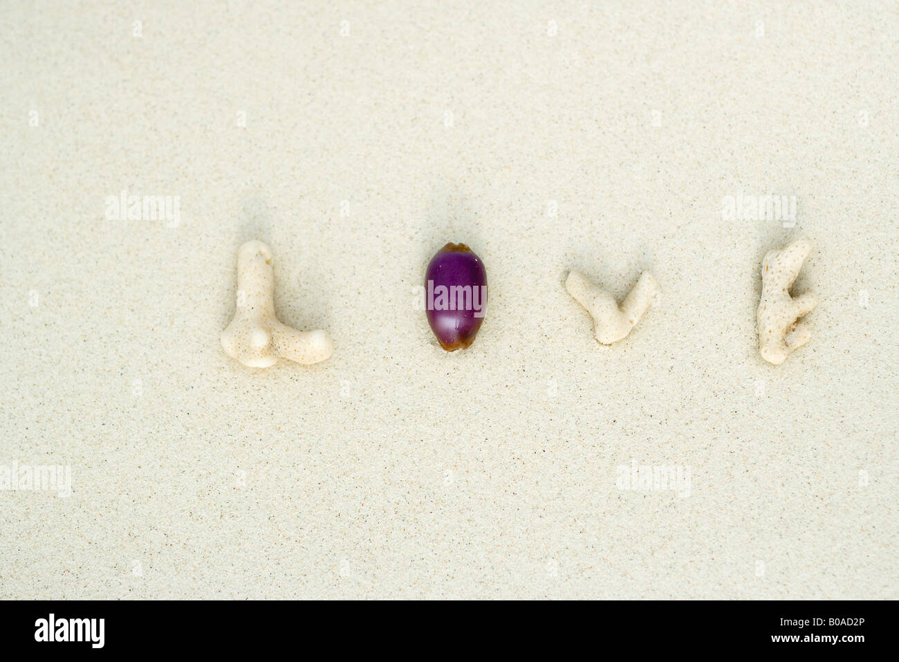 Coral pieces and seashell spelling the word 'love' on the beach, close-up Stock Photo