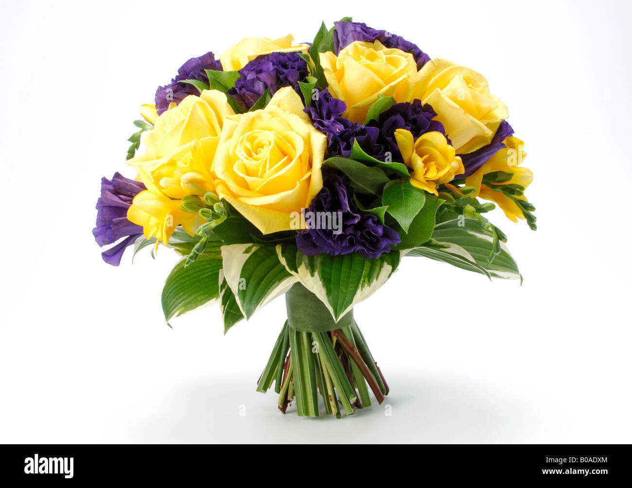 Welcome flowers bouquet hi-res stock photography and images - Alamy