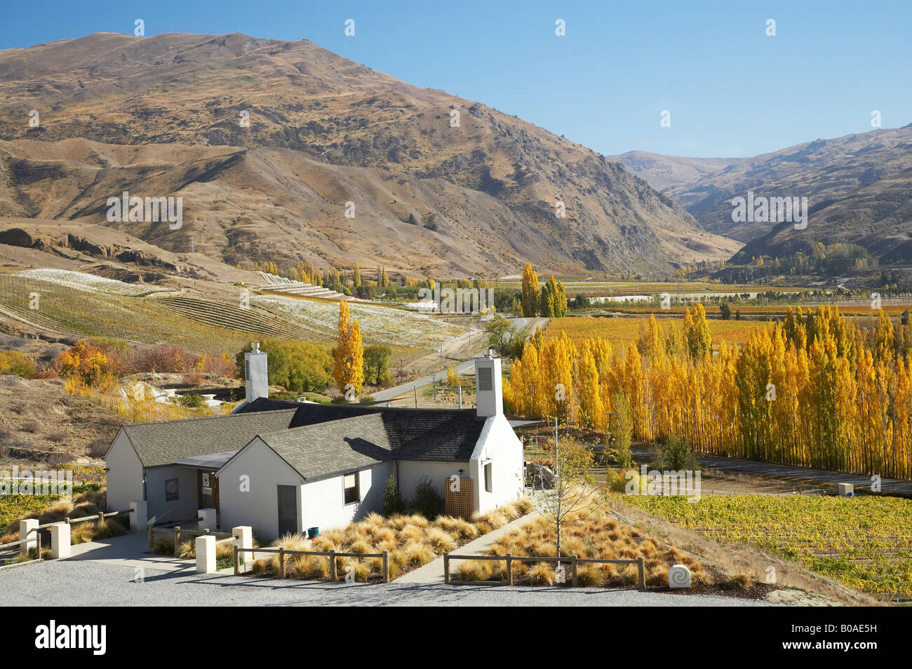 Mt Difficulty wine tasting room and Autumn Colours Bannockburn Central Otago South Island New Zealand Stock Photo Alamy