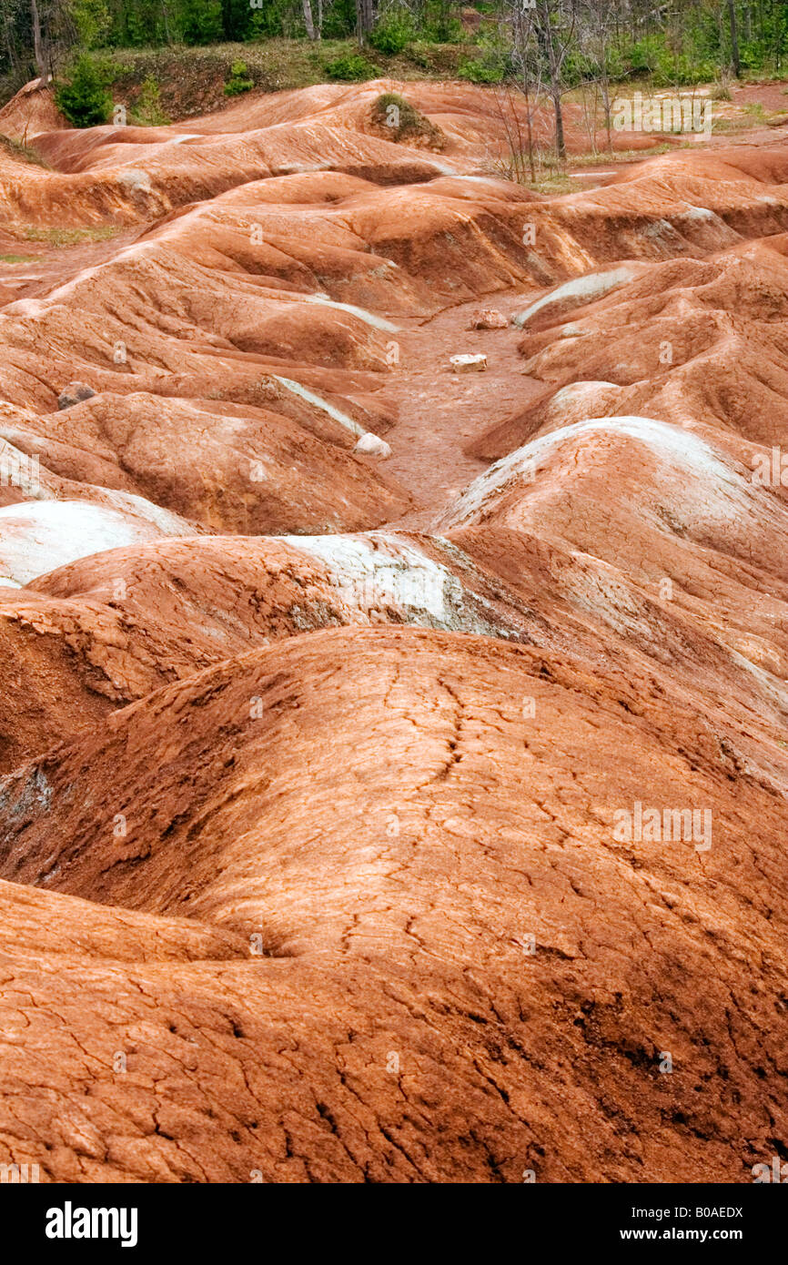 Sandstone features at Cheltenham Badlands in Ontario Stock Photo