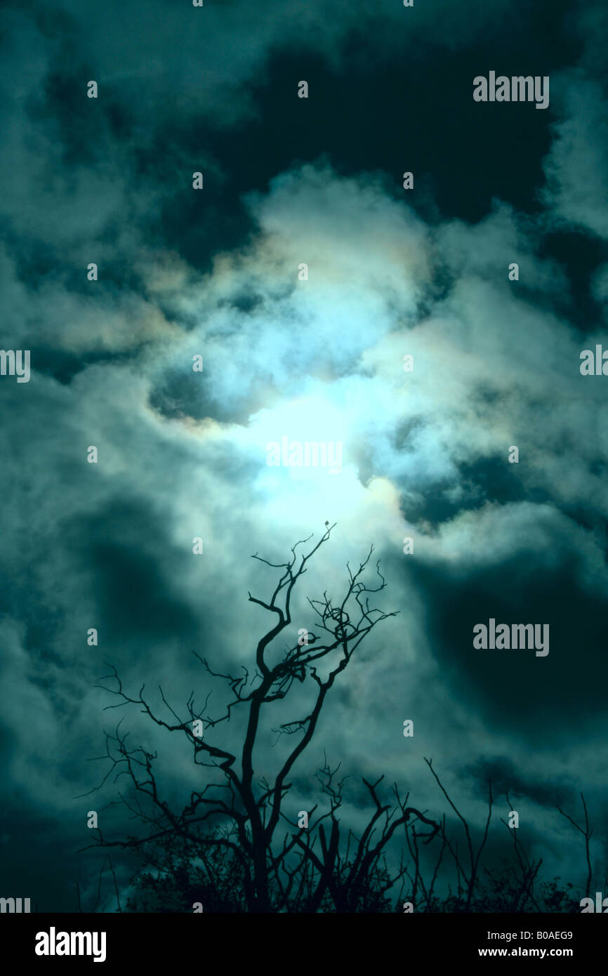Stormy sky Danger in nature view Stock Photo - Alamy